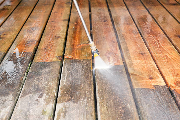 Best Exterior Home Cleaning  in Riverside, IL