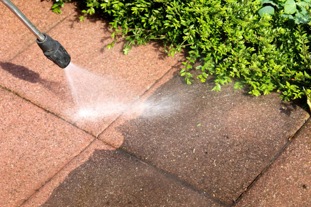 Local Pressure Washing Services in Riverside, IL